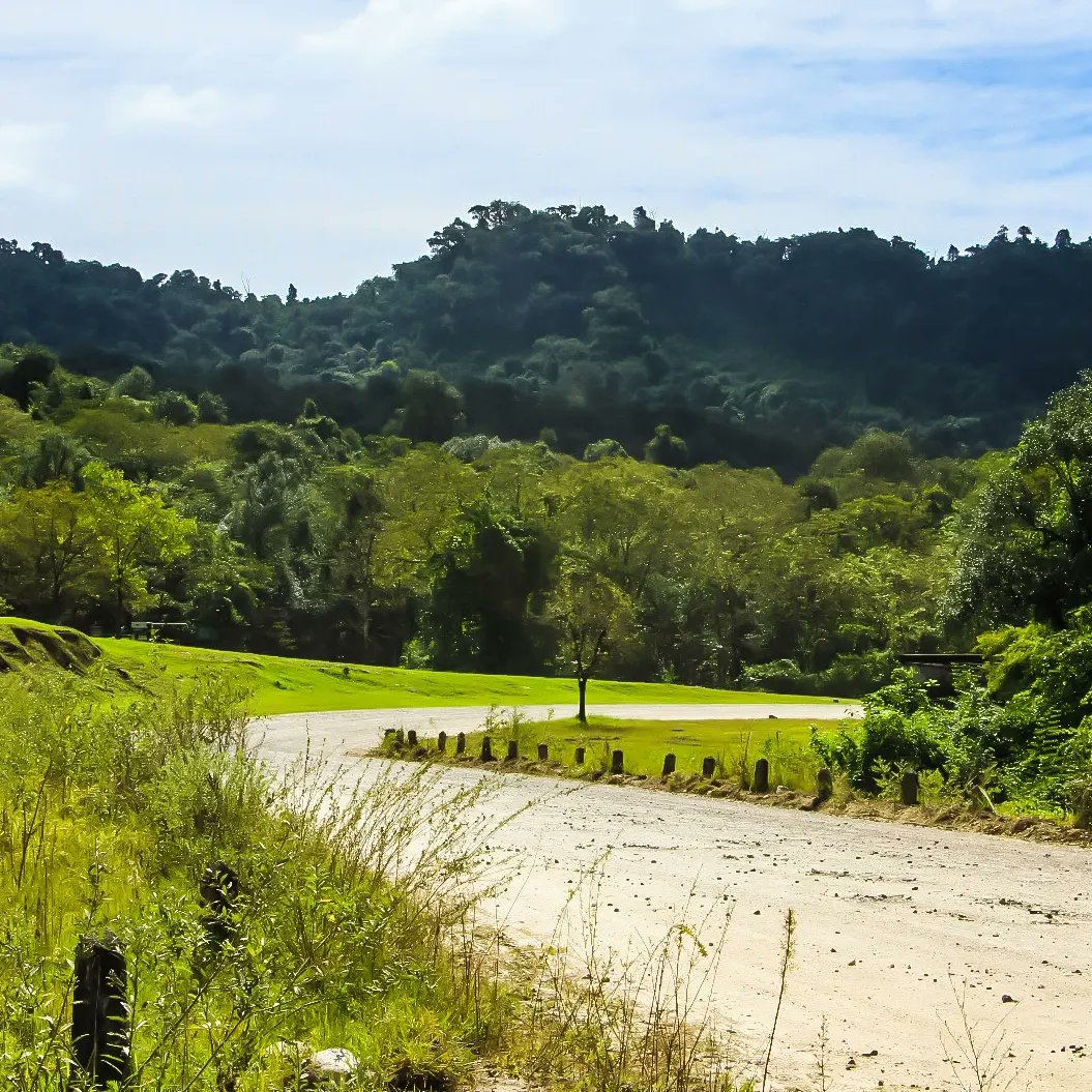 csrtucuman's tweet photo. 🌳⛰️🌳Los invito a conocer el Parque Nacional Aconquija en #Tucumán. Atravesado por la Ruta Nacional 65, un recorrido hermoso con aire de montaña y bosque de yunga.
Tucumán no es solo Tafi del Valle y una casa histórica.
#TucumanTurismo #ArgentinaTurismo
#RutasArgentina #Yunga https://t.co/aehtSPDwo0