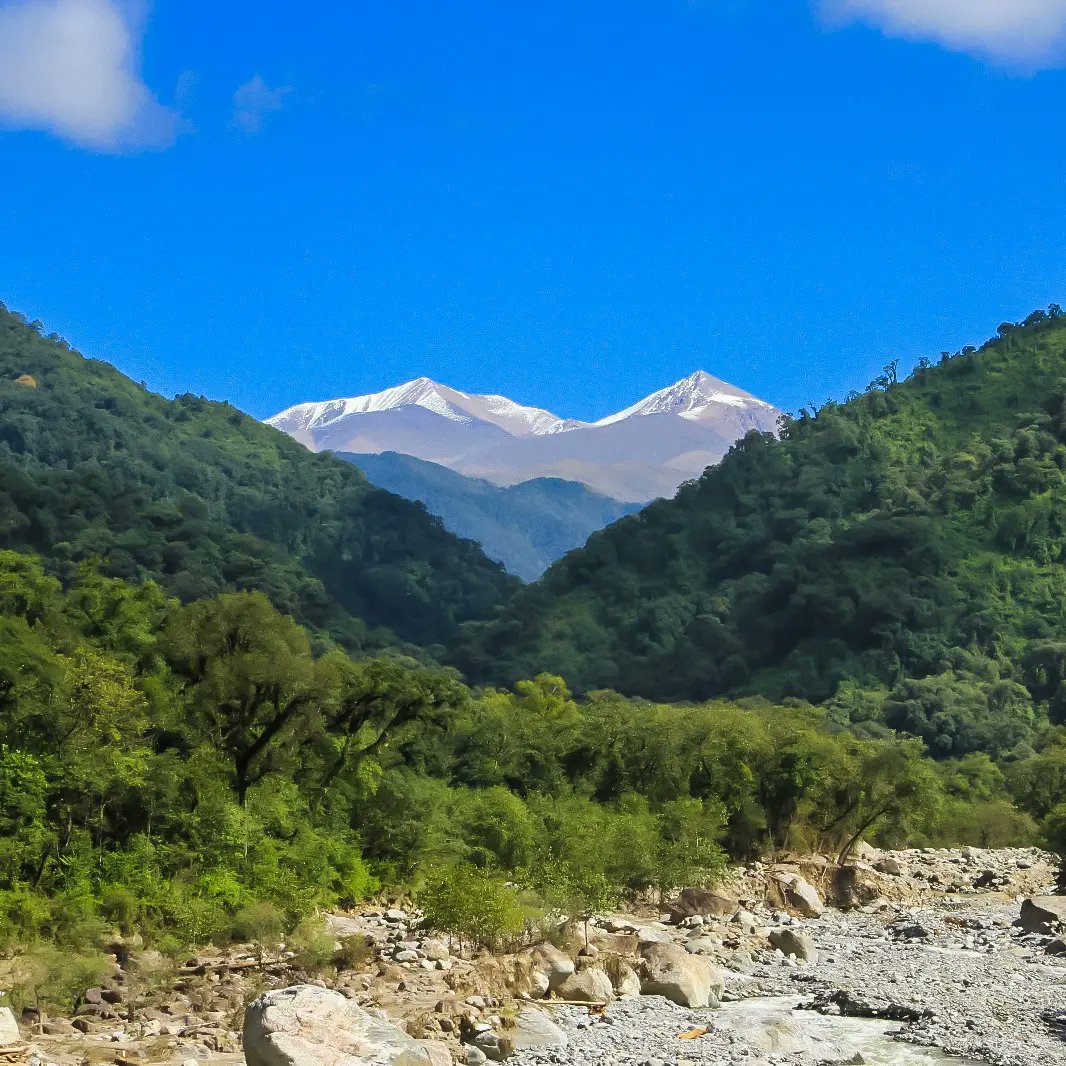 csrtucuman's tweet photo. 🌳⛰️🌳Los invito a conocer el Parque Nacional Aconquija en #Tucumán. Atravesado por la Ruta Nacional 65, un recorrido hermoso con aire de montaña y bosque de yunga.
Tucumán no es solo Tafi del Valle y una casa histórica.
#TucumanTurismo #ArgentinaTurismo
#RutasArgentina #Yunga https://t.co/aehtSPDwo0