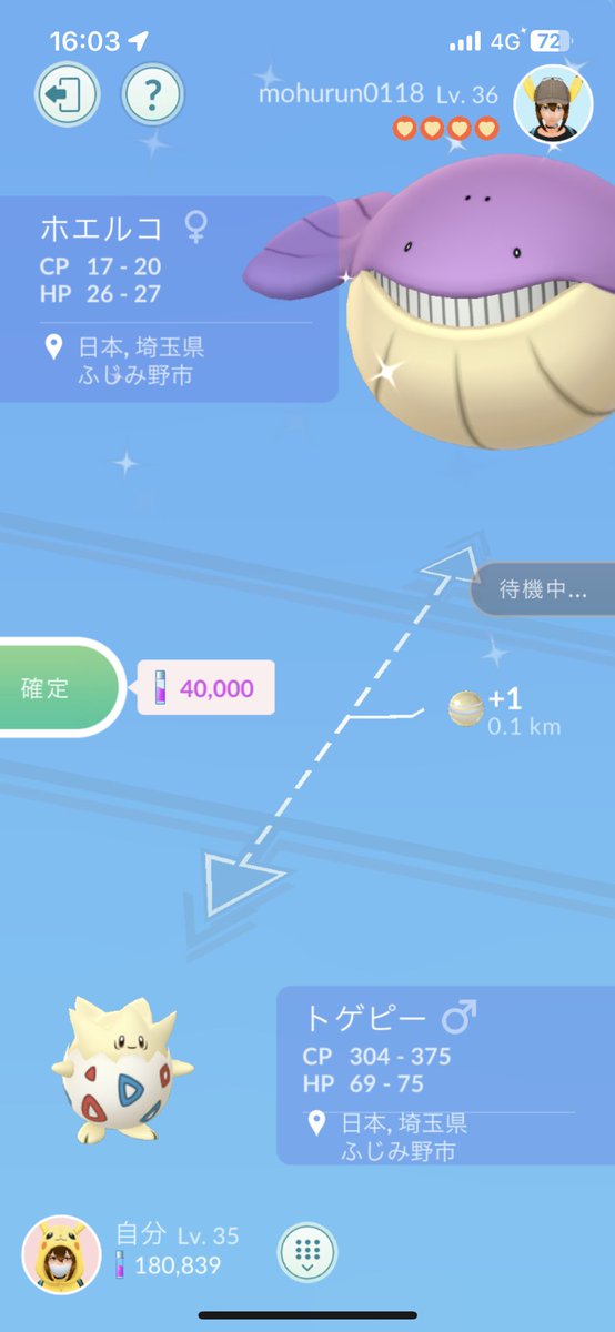 ポケモン　モンコレ　ホエルコ　ホエルオー　進化セット Yahoo!オークション -「ホエルコ (モンコレ モンスター