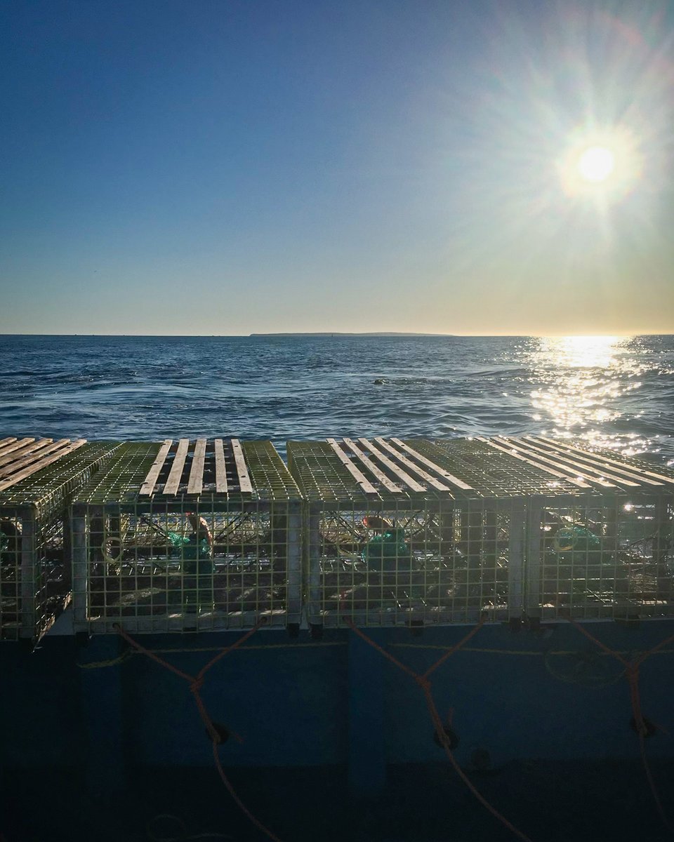 Tim Houston tweet media