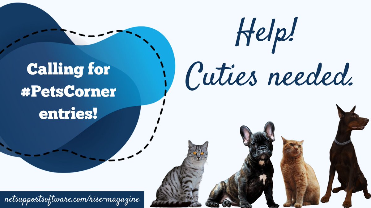 Hello #Furriday pals, I am looking for some #PetsCorner submissions for the next issue of #RISEEduMag. 🐶🐱🐰🐭🐢 If you would like your pet to feature please head to buff.ly/41CcnWA. Please tag in fellow pet owners and RT. ❤️