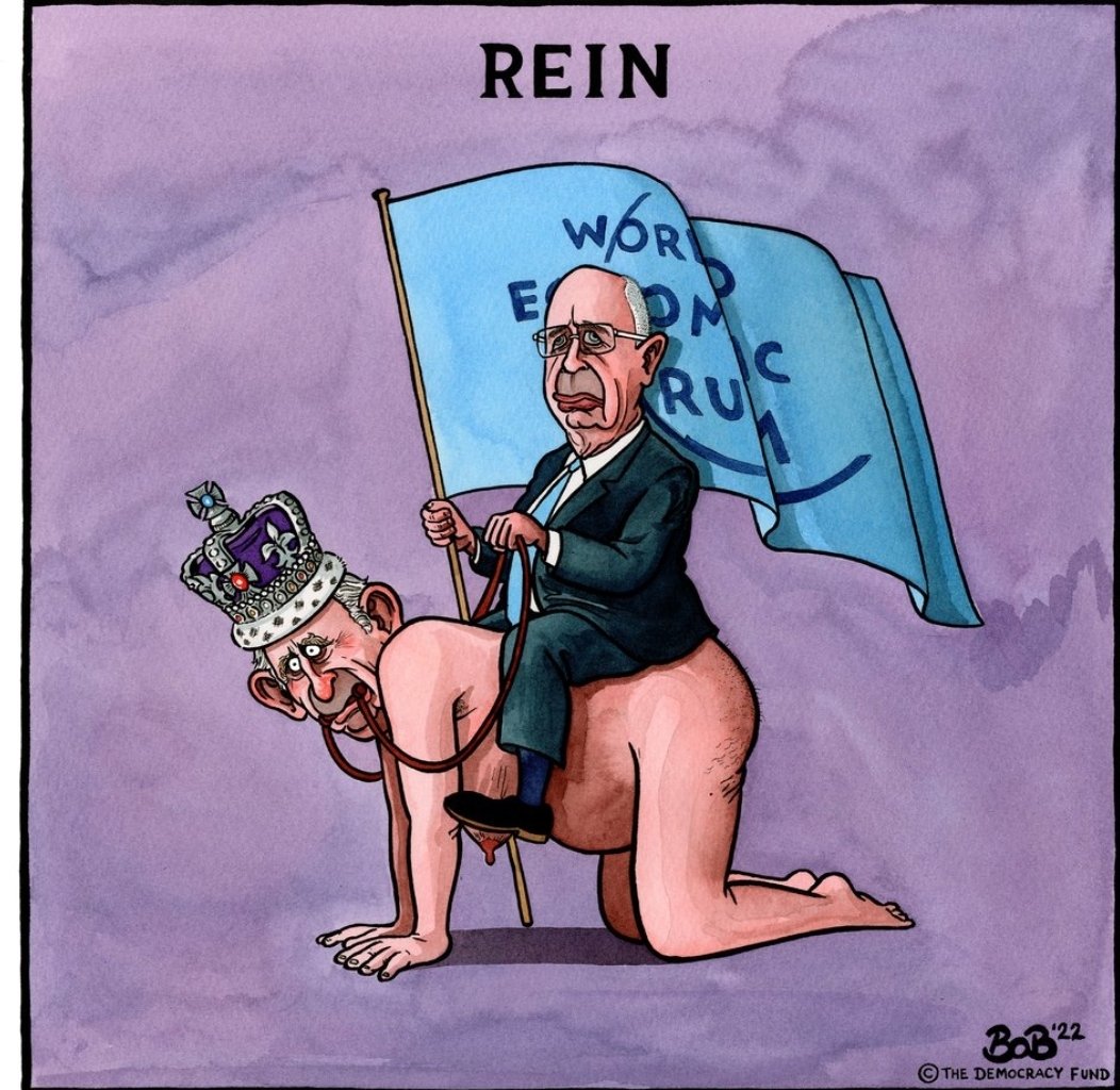 Pigeon Watch tweet media