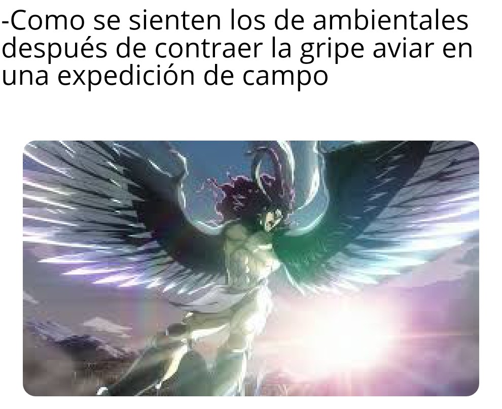 Felipe_pij's tweet photo. @debio_um 
Disfruten de este meme mis camaradas de ambientales https://t.co/IC7vGStfpW