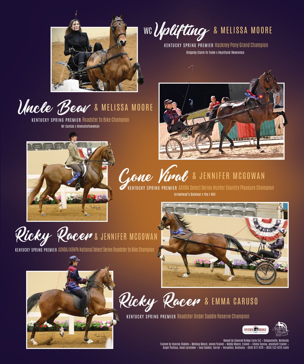 National Horseman tweet media