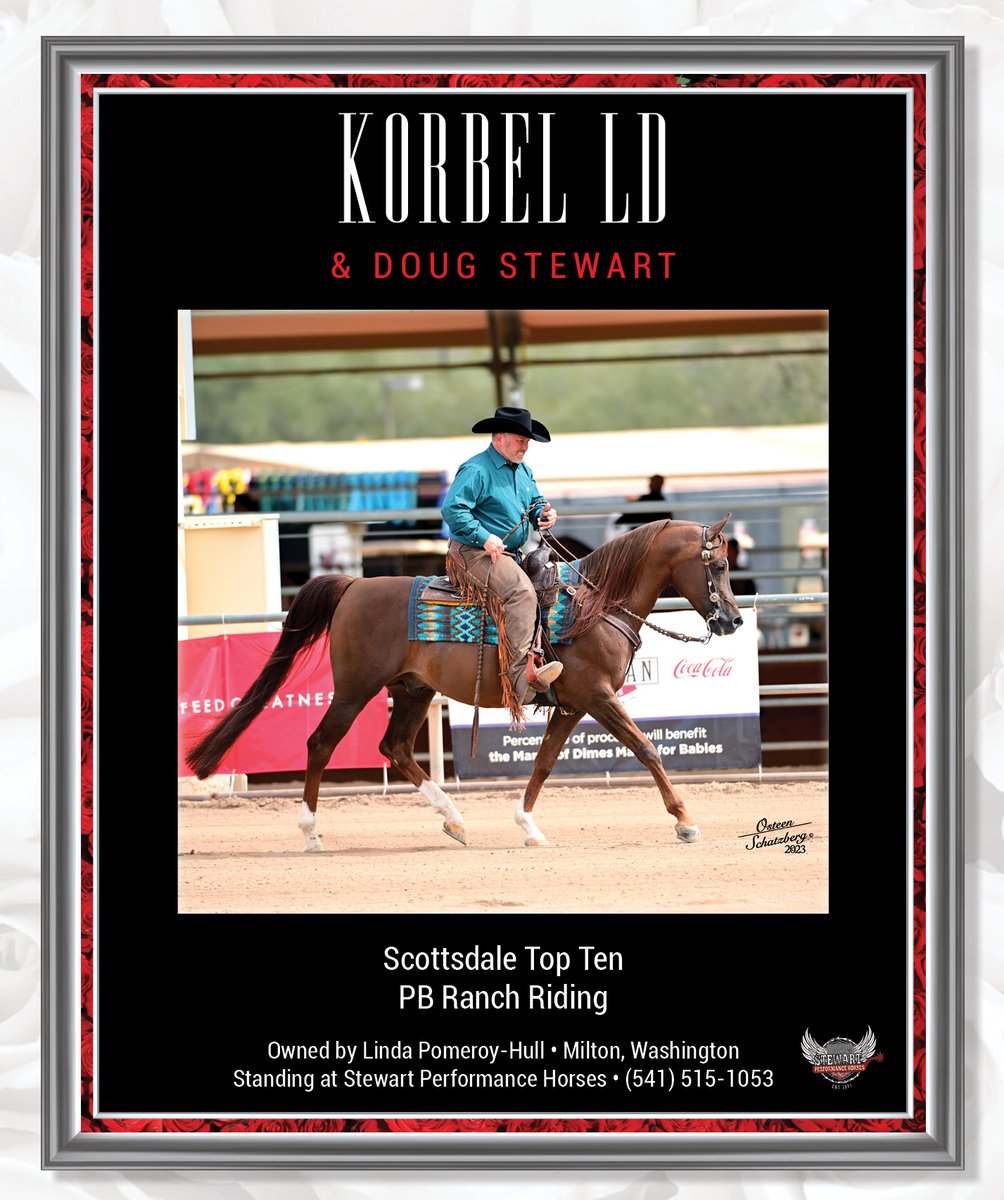 NH_Arabian's tweet photo. #nationalhorsemanarabian #toptengallery #scottsdale #dougstewart #pomeroyhull #stewartperformancehorses #arabianhorse https://t.co/kVV902shzd