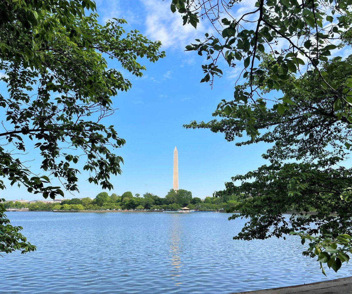 Showers and sun have turned the National Mall green. Everything is so lush and lovely. We hope you get out to enjoy the park soon.
#WashingtonDC
