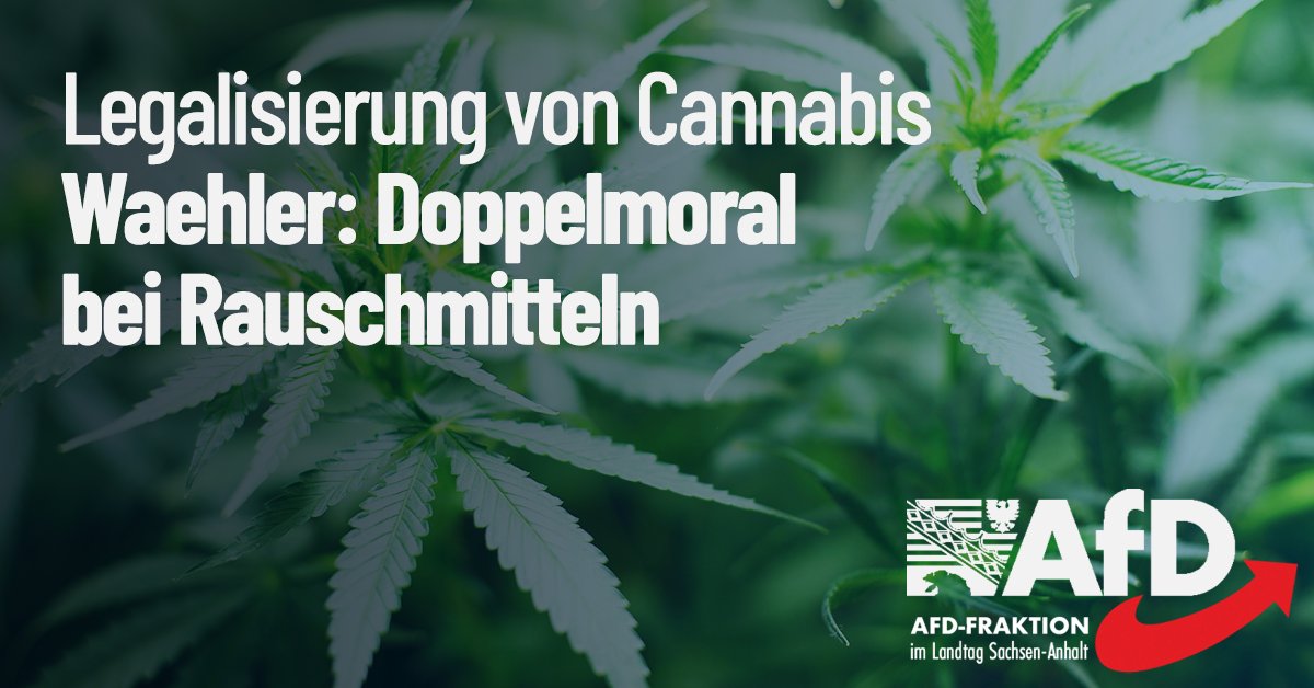 AfDFraktionLSA's tweet photo. Nach Berichten über das Vorhaben von #Lauterbach (SPD) und #Özdemir (Grüne), den Konsum von #Cannabis in Deutschland teilweise zu legalisieren, äußerte sich die #Handwerkskammer #Halle dazu kritisch. #LotharWaehler, #MdL, ergänzt: https://t.co/JXtQscedBm #AfD #AfDLSA #Ltlsa https://t.co/u4g29kCMMV