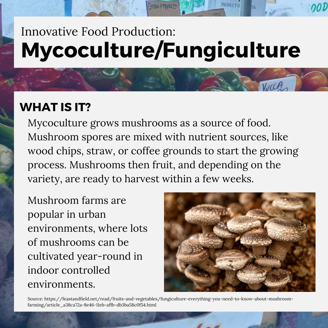 GrowBostonCOB's tweet photo. It's time to learn about sustainable design and mushrooms! Swipe to read about new and different practices for urban agriculture🍄🍃
#growboston #urbanagriculture #permaculture #mycoculture #urbanfarming https://t.co/5y5gzTwpJp