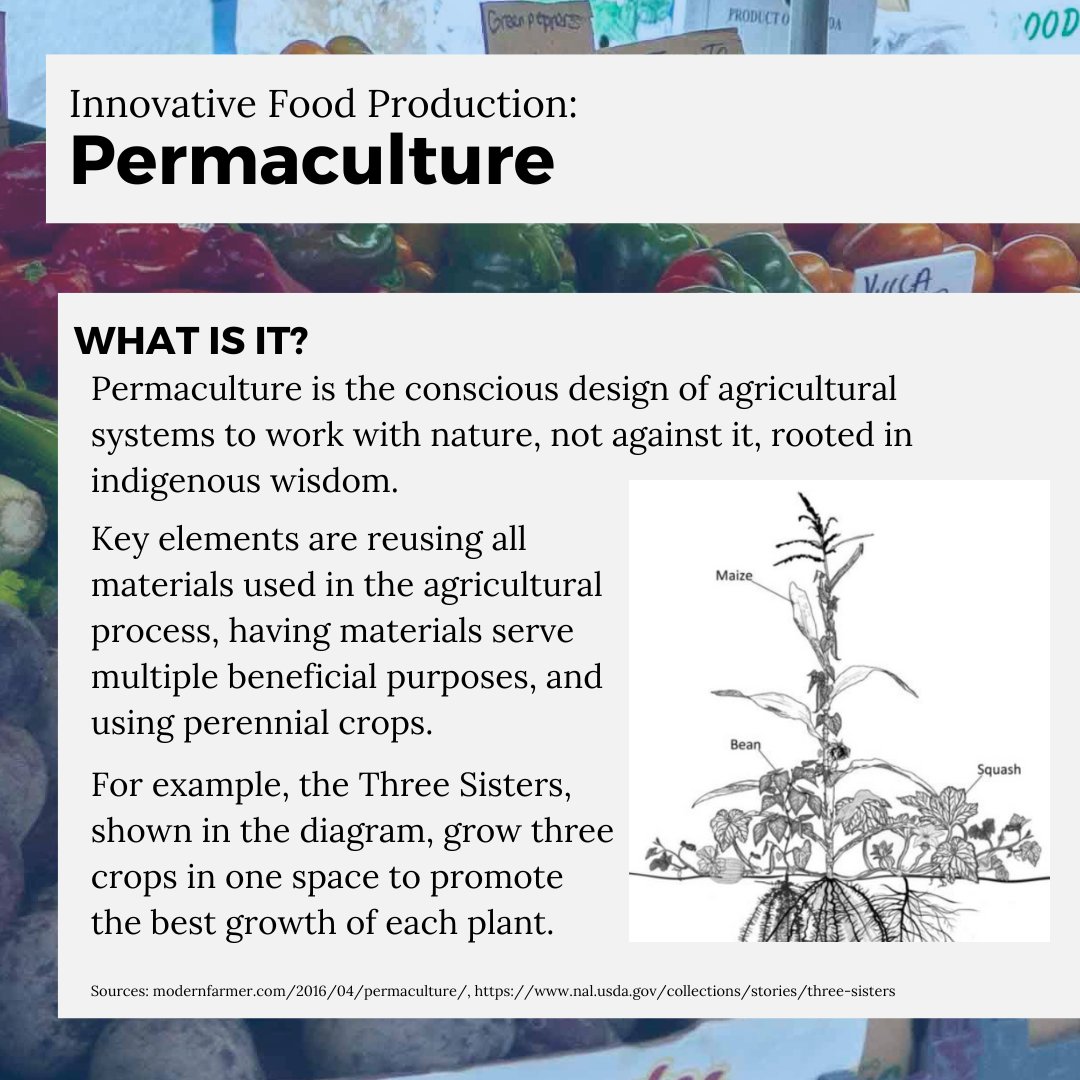GrowBostonCOB's tweet photo. It's time to learn about sustainable design and mushrooms! Swipe to read about new and different practices for urban agriculture🍄🍃
#growboston #urbanagriculture #permaculture #mycoculture #urbanfarming https://t.co/5y5gzTwpJp