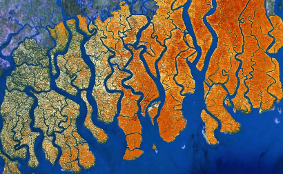 ECU's Dept. of Coastal Studies is hiring a post-doc expert in mangrove soils! Responsibilities: global mangrove soil mapping, research, grant writing, student supervision &amp; more. Apply now at ecu.peopleadmin.com/postings/61385. #MangroveEcology #CoastalScience #PostdocJobs