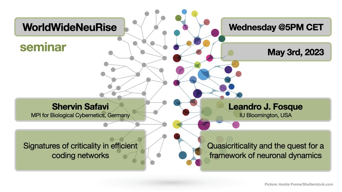 WWNeuRise tweet media