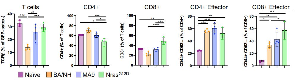 Nature Communications (@naturecomms) on Twitter photo Oncogene specificity influences immune response in acute myeloid leukemia.
nature.com/articles/s4146…
<a href="/StevenLane_QIMR/">Steve Lane</a> <a href="/megan_bywater/">Megan Bywater</a> <a href="/rebeccajaustin1/">Rebecca Austin</a> <a href="/JStraubeBioinfo/">Jasmin Straube</a> @QIMRBerghofer <a href="/iannisaifantis1/">Iannis Aifantis</a> Oncogene specificity influences immune response in acute myeloid leukemia.
nature.com/articles/s4146…
<a href="/StevenLane_QIMR/">Steve Lane</a> <a href="/megan_bywater/">Megan Bywater</a> <a href="/rebeccajaustin1/">Rebecca Austin</a> <a href="/JStraubeBioinfo/">Jasmin Straube</a> @QIMRBerghofer <a href="/iannisaifantis1/">Iannis Aifantis</a>