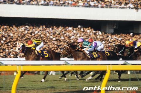 ssmd1122's tweet image. 5thEVENT 第1公演 -WISH- コンセプトアート

右端の子ギャロップダイナ説を提唱

#ウマ娘 #ぱかライブTV #5thEVENT