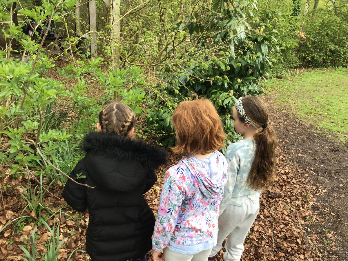 CorshamPrimary's tweet photo. We are busy orienteering to find different letters hidden across the grounds. https://t.co/SzC86J45Au