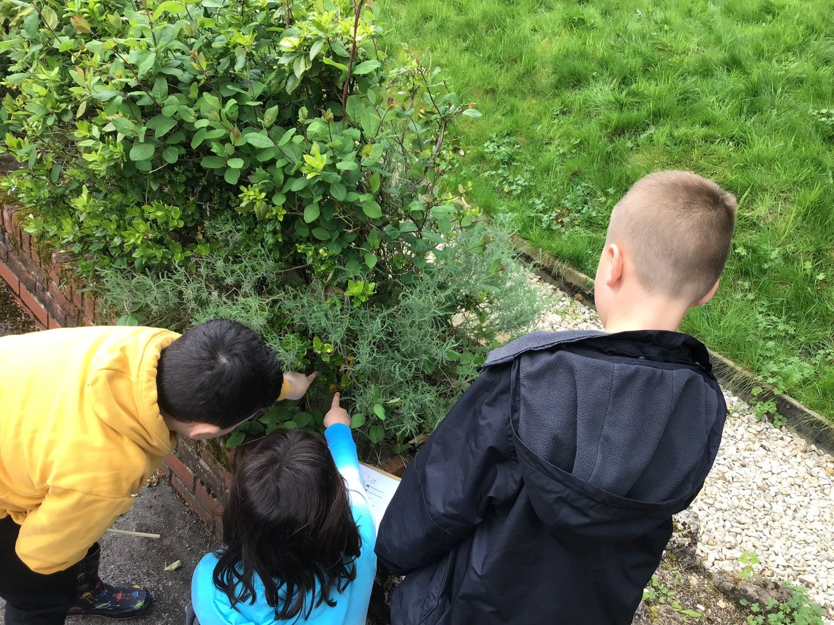 We are busy orienteering to find different letters hidden across the grounds.