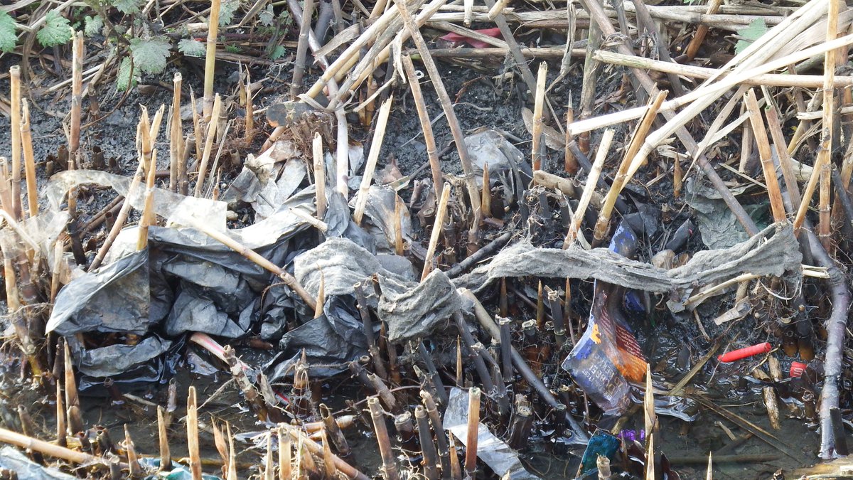 The sewer overflow in Dagenham's Mayesbrook Park pollutes the river & London's first climate change park.
£2m was spent creating wetlands & floodplains only for sewage to be dumped in it.
What a waste.
Send Thames Water a Formal Complaint: londonwaterkeeper.org.uk/formal-complai…