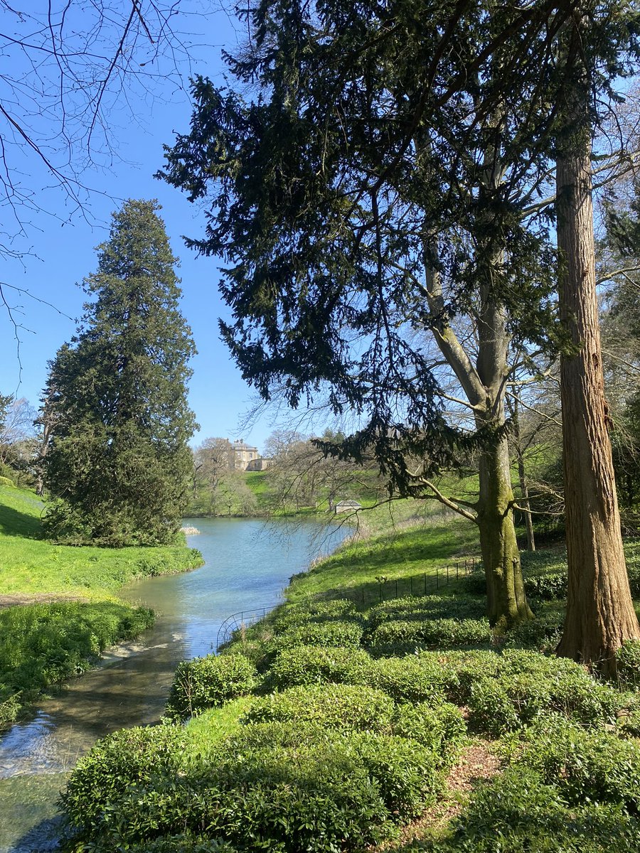 Please come back ☀️ #BSUspring 💛