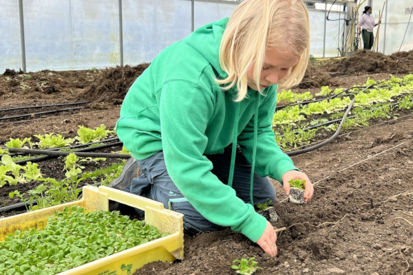 Zukunftstag (@zukunftstag) on Twitter photo Am Donnerstag, 9. November 2023, findet der nächste #Zukunftstag statt. Interessierte Betriebe und Organisationen können sich auf der Website des Zukunftstags für ein Spezialprojekt anmelden: nationalerzukunftstag.ch/angebote/betri… #Schweiz #baechtelen Am Donnerstag, 9. November 2023, findet der nächste #Zukunftstag statt. Interessierte Betriebe und Organisationen können sich auf der Website des Zukunftstags für ein Spezialprojekt anmelden: nationalerzukunftstag.ch/angebote/betri… #Schweiz #baechtelen