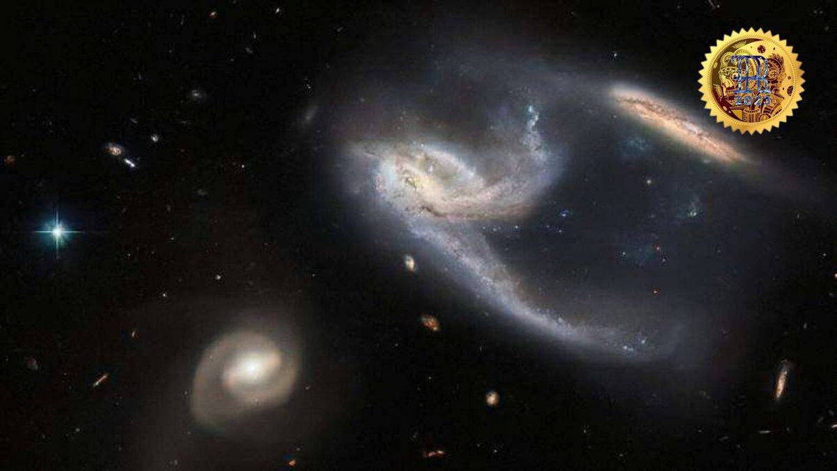 🎙RobotokenRadio©  🤖 tweet media