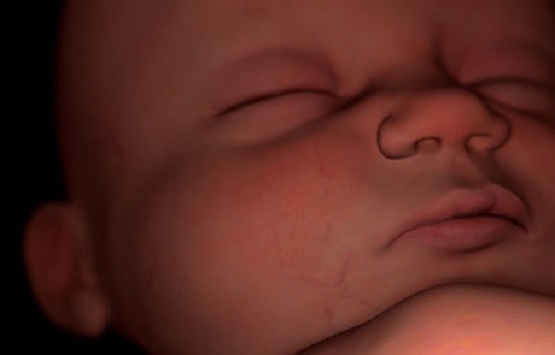 LifeNewsHQ's tweet photo. BREAKING: South Carolina Senate Advances Bill to Become 16th State to Protect Babies From Abortions https://t.co/EtDmbxplr1 https://t.co/cgWiaWi7Mw