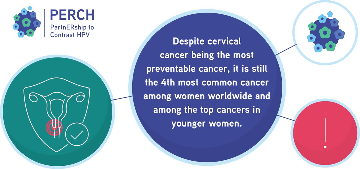 Today 45 (of 53) countries in the <a href="/WHO_Europe/">WHO/Europe</a>  European Region have made HPV vaccination available to all girls aged 9-14 and 10 countries offer the vaccine to boys.
#EIW2023 #UnitedInProtection 
#HealtUnion #EU4Health