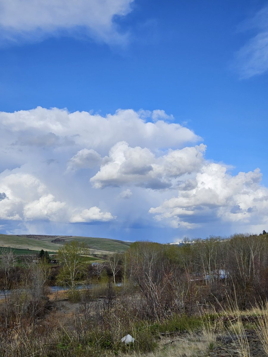 Spring
.
#umatillariver #ctuir #viewfromhere #cloudphotography #cloud_captures #cloudscapes #landscapephotography #landscapecaptures #landscapephoto #springawakening #pnw #pnwphotography #pacificnorthwest #easternoregon #oregon #getoutside