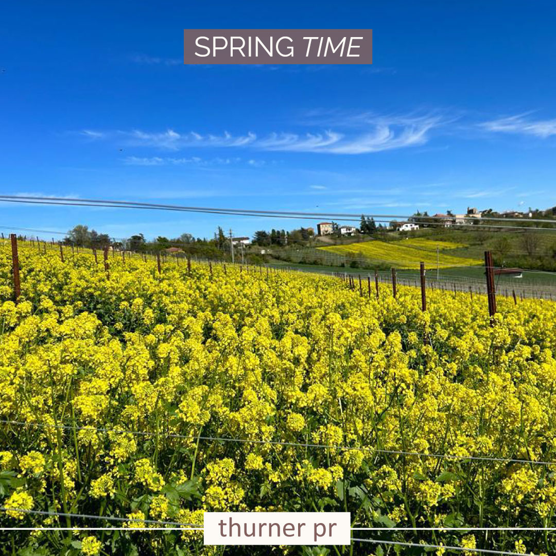 ThinkThurner tweet media