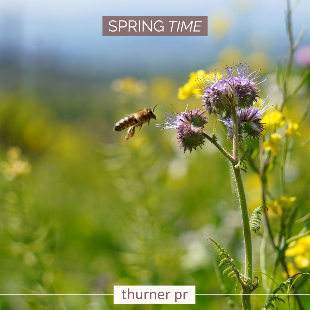 ThinkThurner tweet media