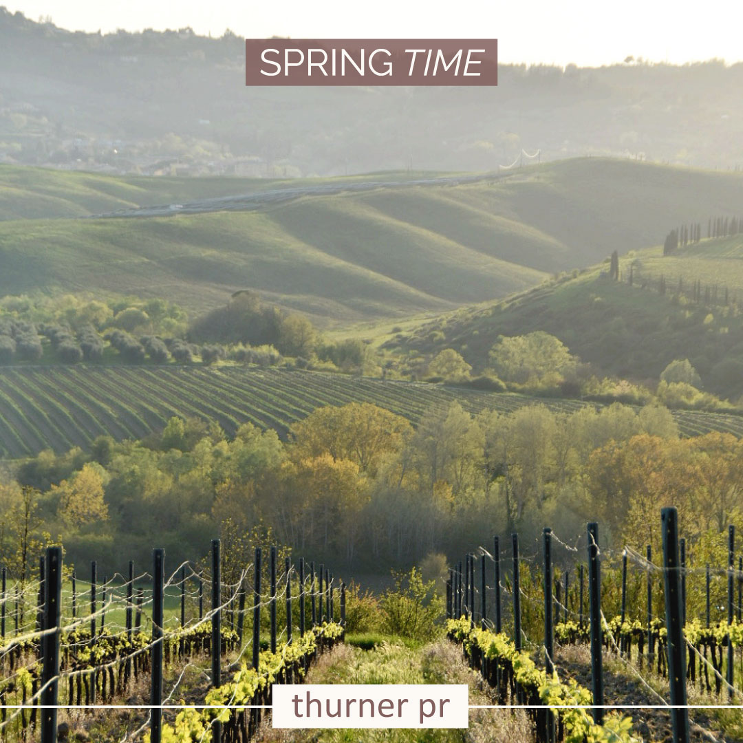 ThinkThurner tweet media