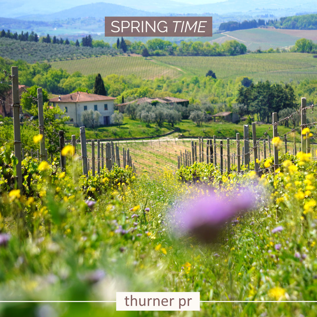 ThinkThurner tweet media