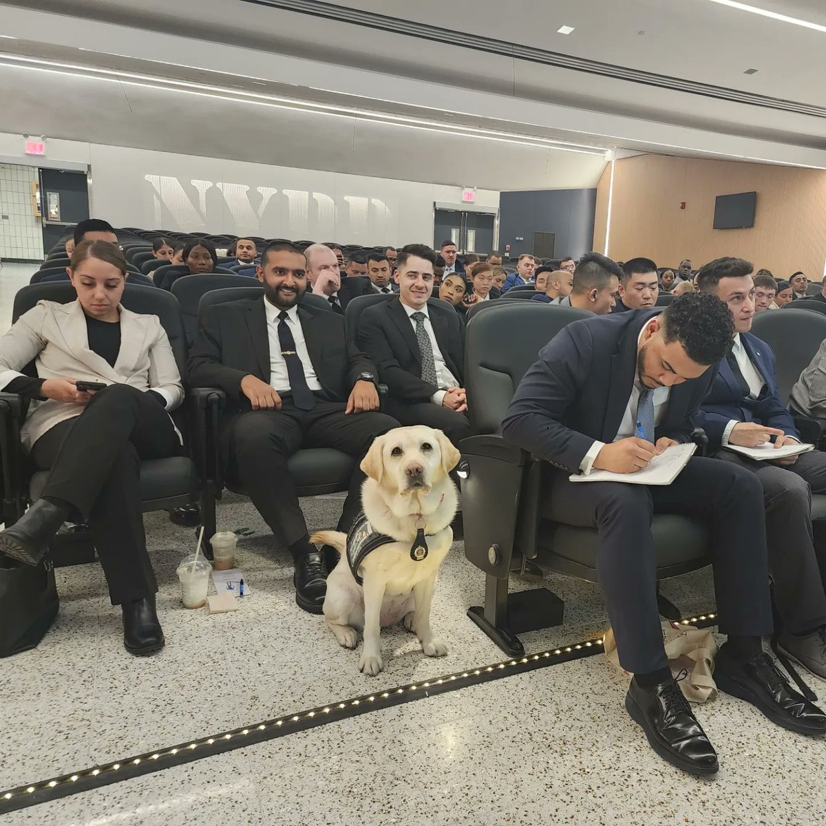nypdeau_1085's tweet photo. Welcoming @nypd Manhattan South New Police Officer Graduates, who will soon gear up in their uniforms and hit the streets to serve all of NYC. #nypdfinest #nypdtherapydog #nypdservicedog #unitedwestand #oneteamonefight #beatthestigma #puppylove #smilesnotgrowls #supportwithpaws https://t.co/XtHqOEigI5