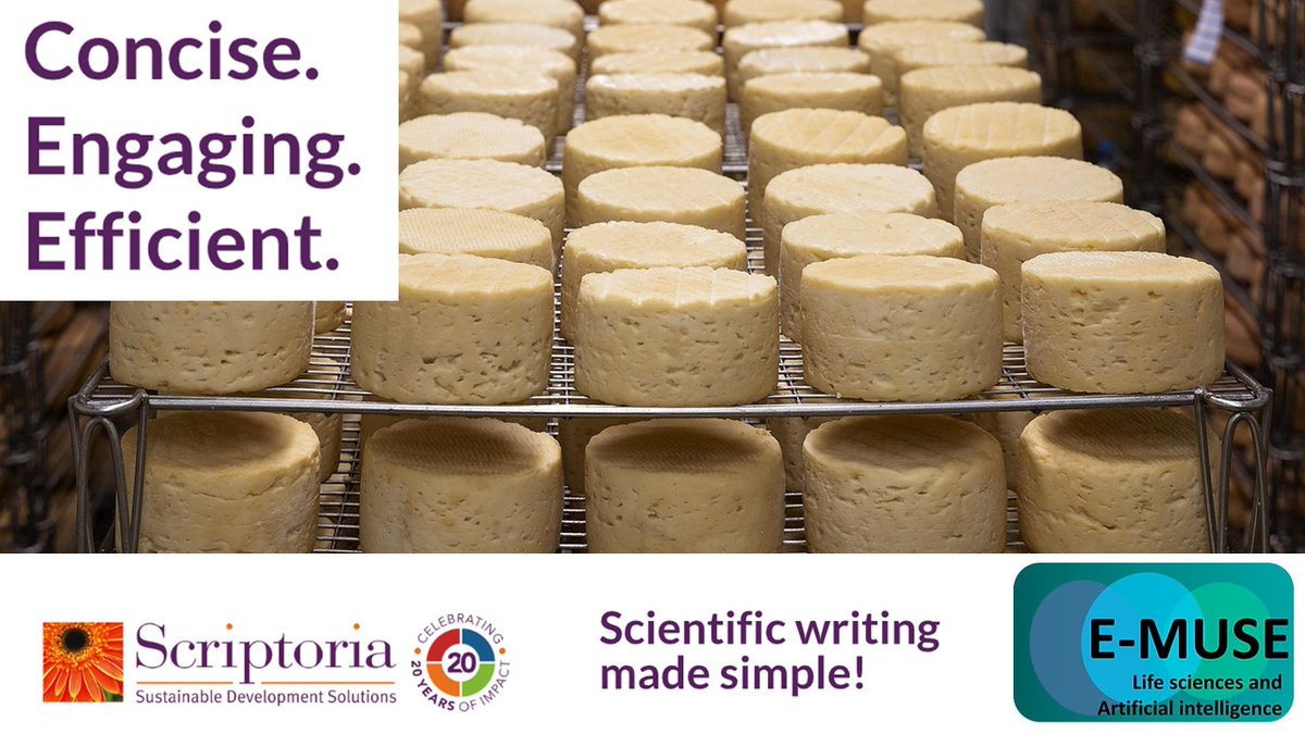 Talented early-stage researchers from the <a href="/EMUSE16/">E-MUSE</a> ITN are breaking ground with their modelling skills to optimise the cheese-ripening process.

And we've been equipping these ESRs with skills to turn their complex data into accessible journal articles! scriptoria.co.uk/training-cours…
