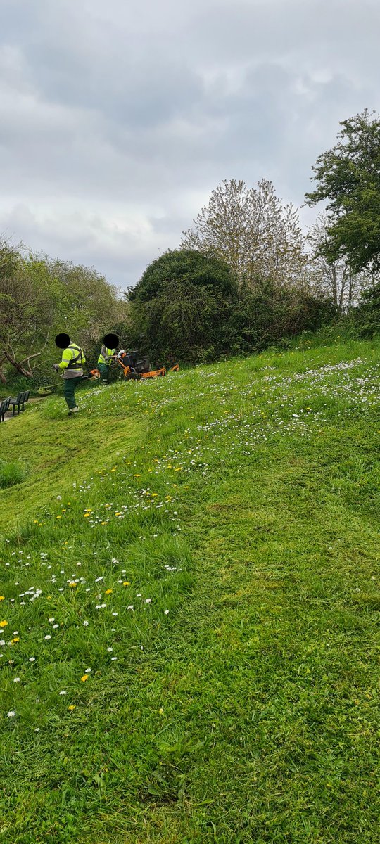 BlackDogHoneyBees tweet media