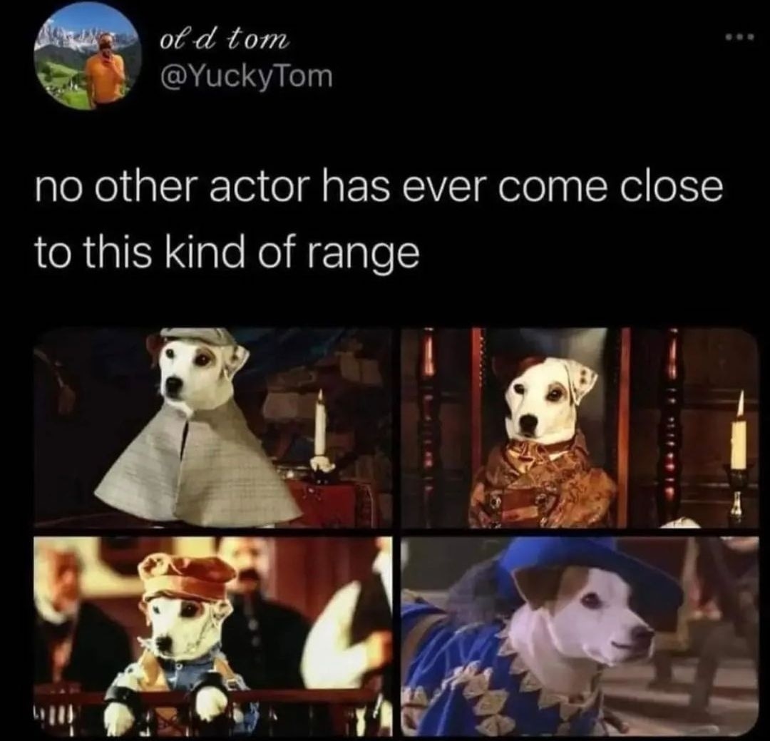 PetsHistorical's tweet photo. Make #Hollywood Great Again!

#actor #dog https://t.co/lCtlHzCu7J