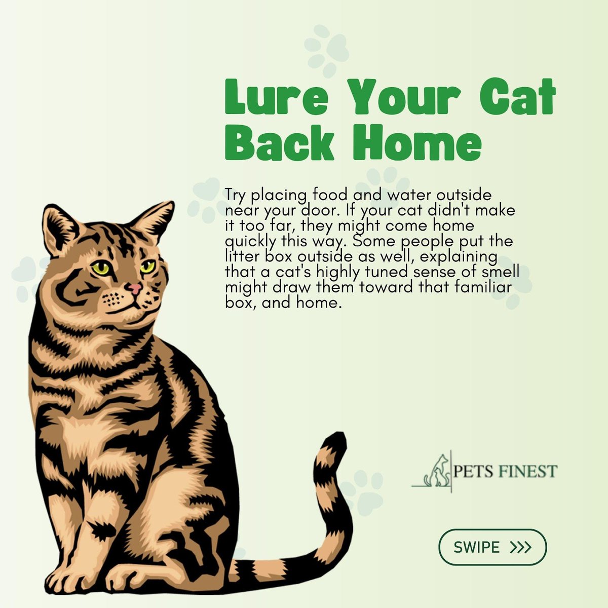 petsfinest's tweet photo. Lost your furry feline friend? Don't worry - here are 5 tips to help you find your lost cat and bring them back home safe and sound! 🐾😻

🌐 https://t.co/7eDk4NxSfc
.
#catsogram #catscatscats #pettips #cattipoftheday #funnycatmemes #funnycatsvideo #catoftheday #catfluencer https://t.co/uSyPMSmtws