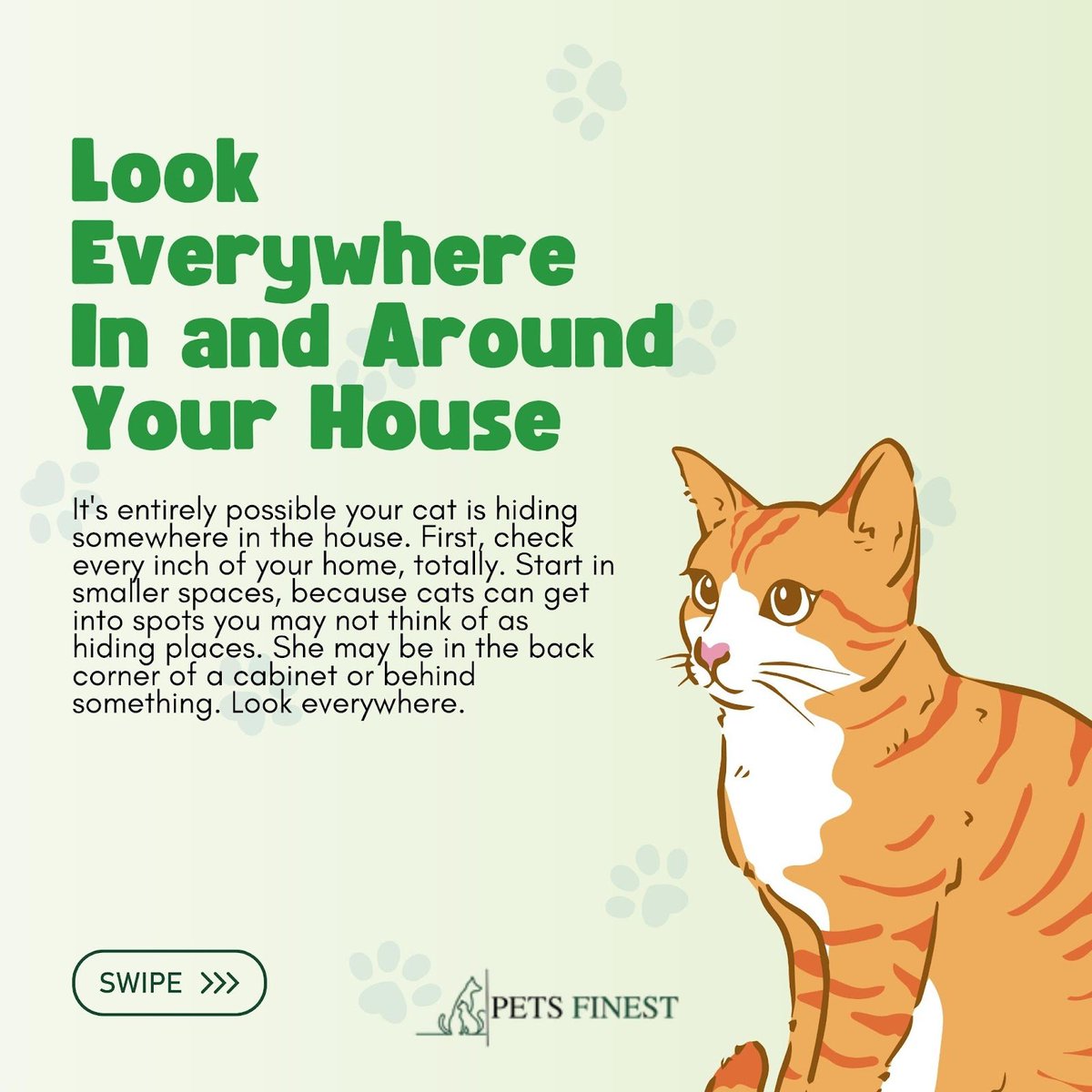 petsfinest's tweet photo. Lost your furry feline friend? Don't worry - here are 5 tips to help you find your lost cat and bring them back home safe and sound! 🐾😻

🌐 https://t.co/7eDk4NxSfc
.
#catsogram #catscatscats #pettips #cattipoftheday #funnycatmemes #funnycatsvideo #catoftheday #catfluencer https://t.co/uSyPMSmtws