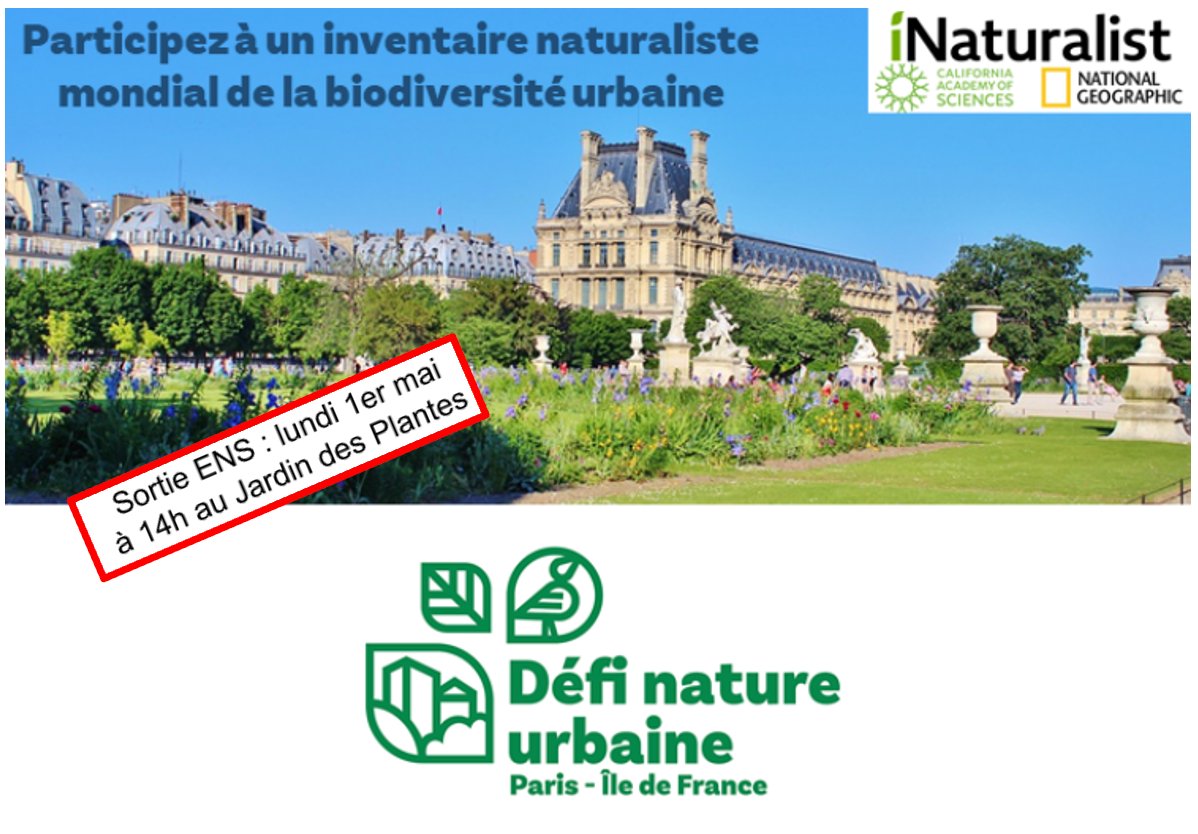 Biologie_ENS's tweet photo. Une idée de sortie scientifique ce week-end ? RDV lundi 1er mai 14h au Jardin des Plantes @le_museum avec nos enseignants @Biologie_ENS @BPerezLamarque et Mathias Penot pour participer à un inventaire de la biodiversité urbaine: le City Nature Challenge @CncParisIDF #BioENSProfs https://t.co/4Z6YHJGxuv