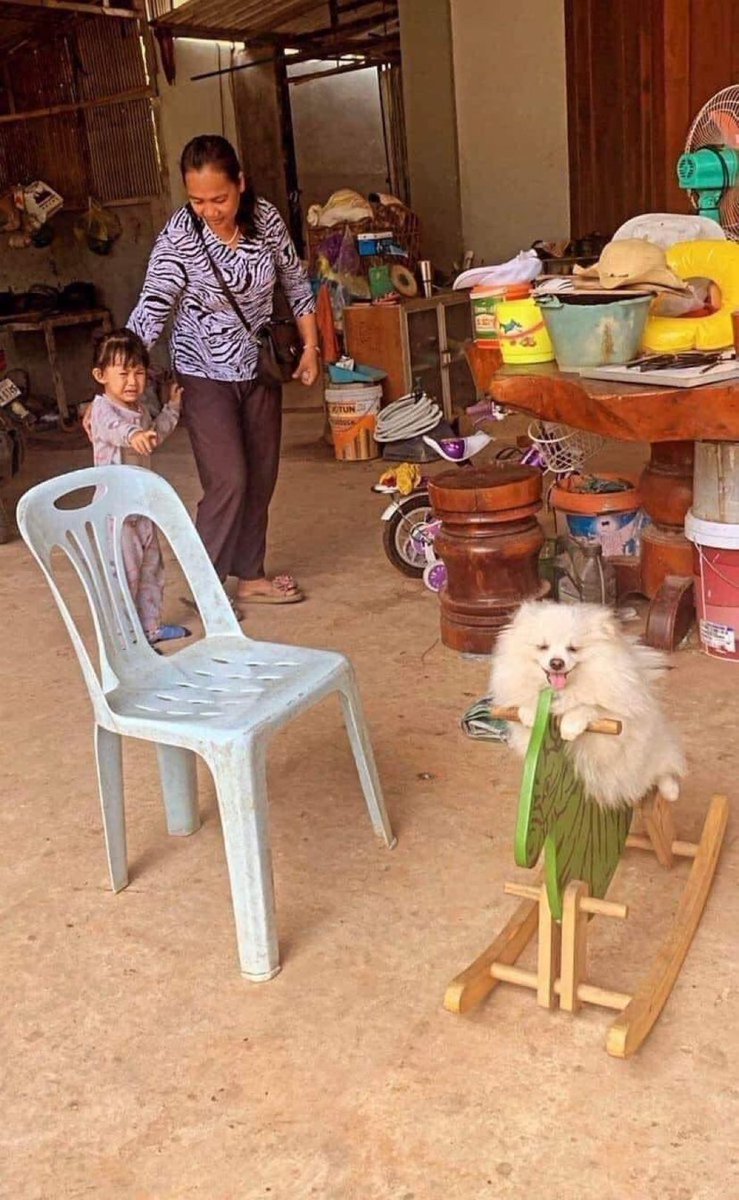 ไอ้ขาวสะใจเว่อ ข้ารอเวลานี้มานาน