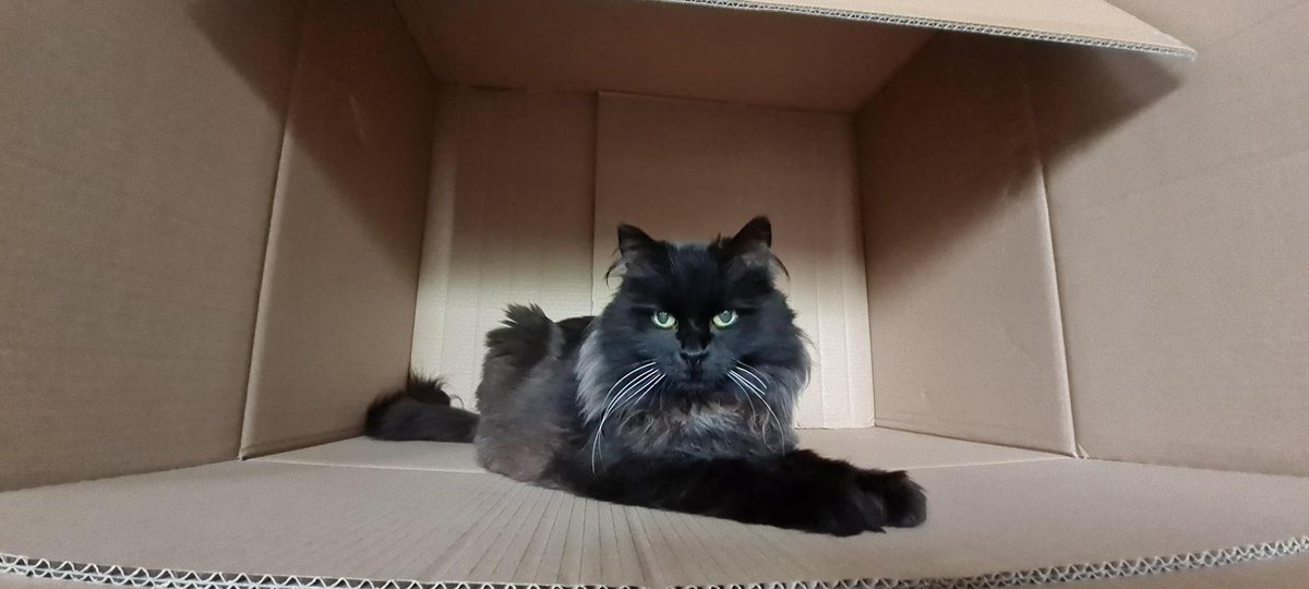 Nieuwe spoed aanmelding: Brenna

Geslacht: Poes
Leeftijd: 15 jaar
Locatie: Lelystad, Flevoland (NL)

Link: herplaatsing-huisdieren.nl/huisdier_bekij…