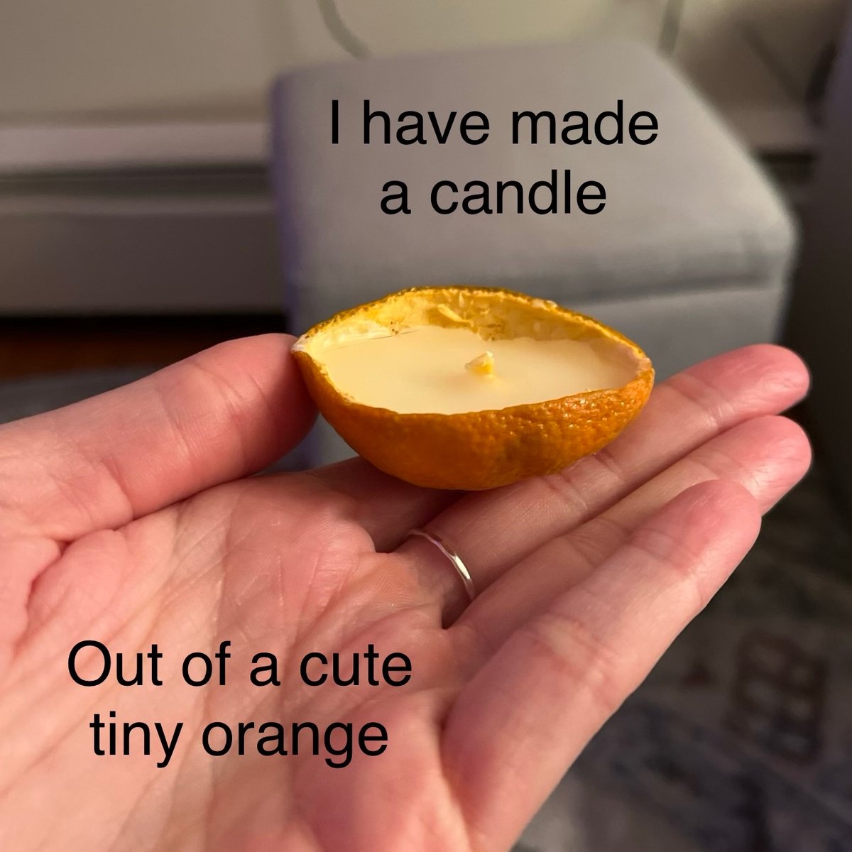 meredith tweet media