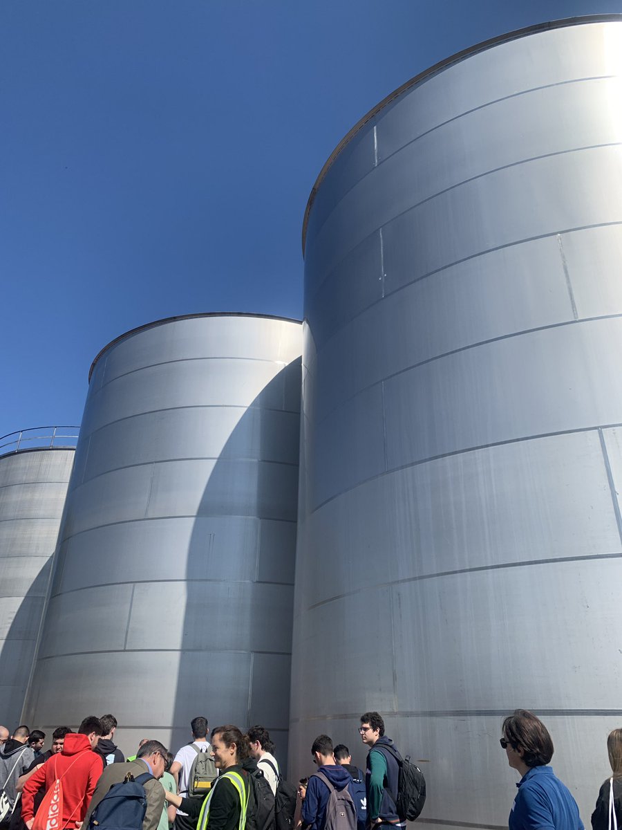 walesska tweet media