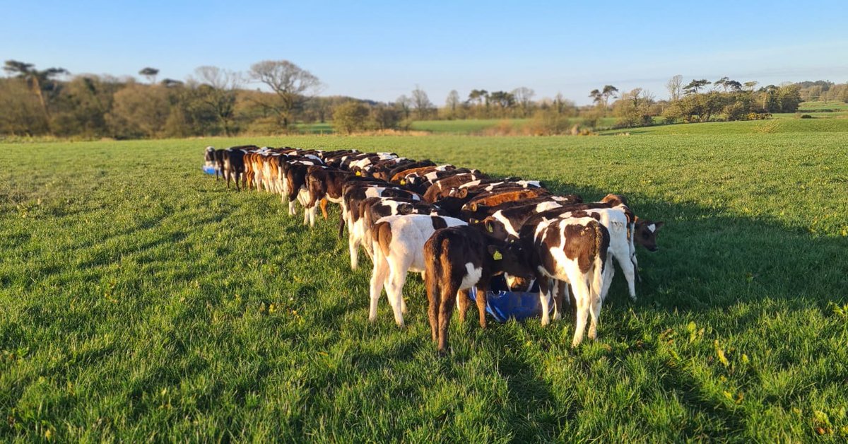 FarmingPartners tweet media