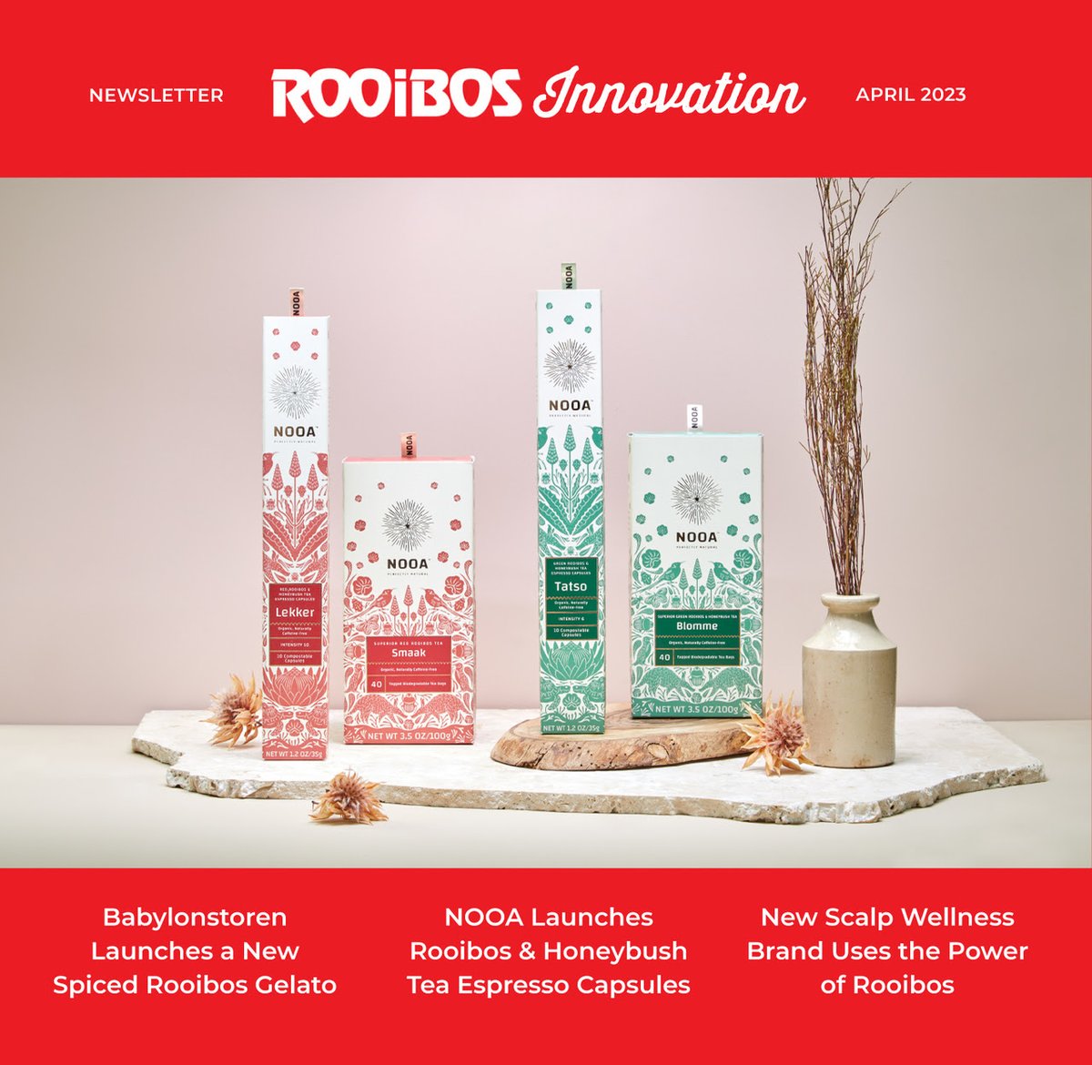 In this newsletter, we learn more about a new gelato which has been developed by Babylonstoren. It contains Rooibos for a unique taste experience!

Read this and more in our newsletter below: bit.ly/40Lrvzz

#Rooibos #Honeybush #Tea