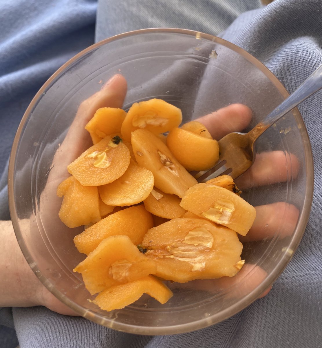 Sa millor fruita
