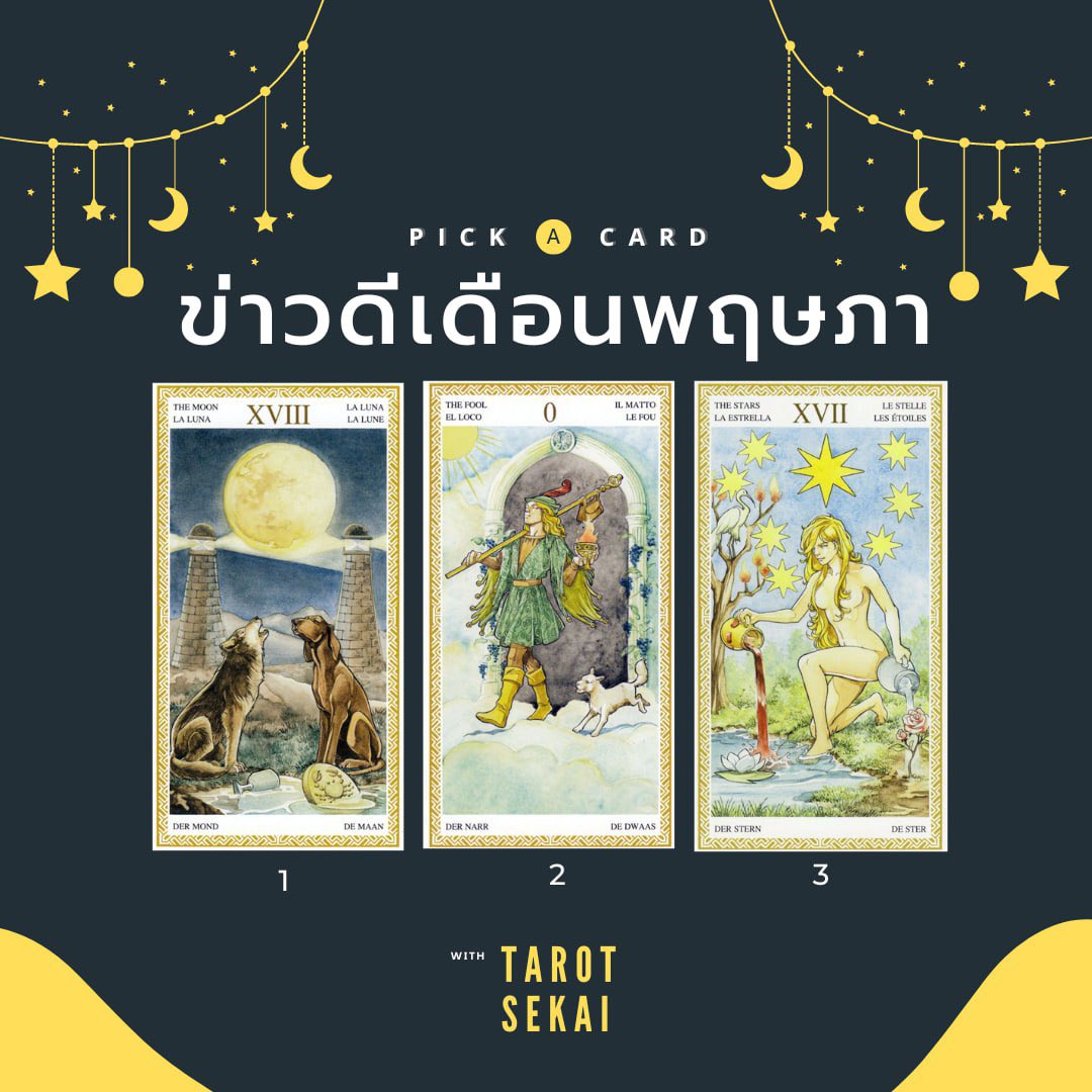 SEKAI ⚡️ tweet media