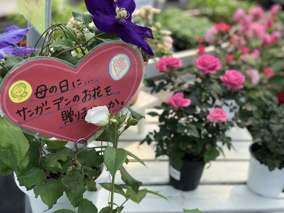 「サンガーデン」

恵庭市【公式】Instagramで紹介♪

花苗生産で道内有数！

母の日ギフトなどたくさんのお花が咲いています

詳しくはインスタの投稿を確認ください

instagram.com/p/CrgD_RKJ-Zj/

ガーデンシティえにわ #eniwa #北海道 #恵庭市 #恵庭