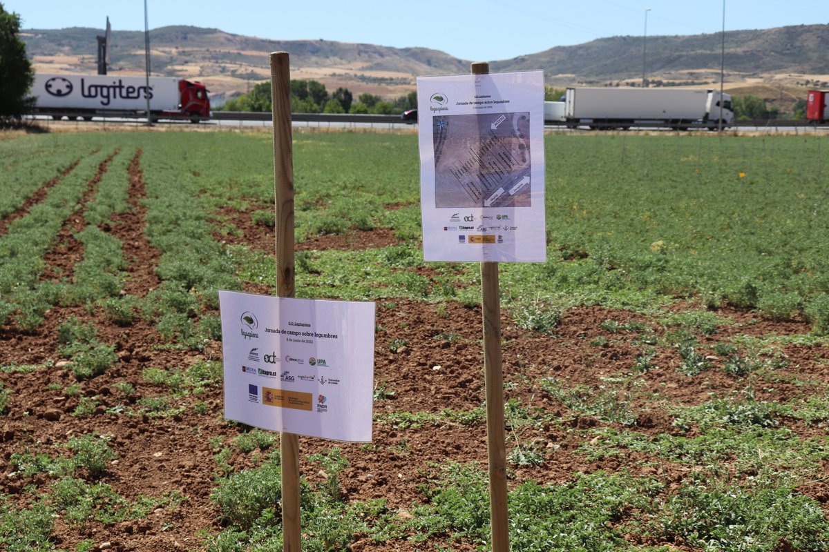 LegSapiens's tweet photo. 🌱🔝 Durante 2 años, el Grupo Operativo #LegSapiens ha analizado las potencialidades, problemas y oportunidades del cultivo de las #leguminosas para consumo humano. 

Puedes ver los resultados que demuestran su gran potencial de crecimiento en su web 👇
https://t.co/geTnanrfOT https://t.co/nIRWzzqRA8