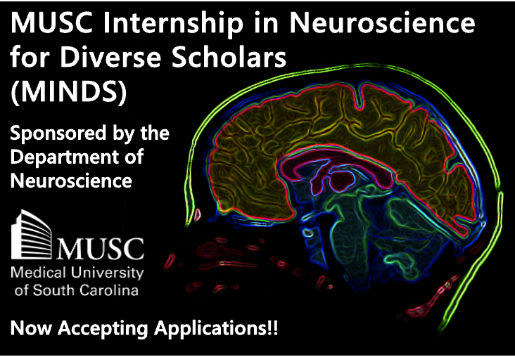neuro_MUSC's tweet image. We are excited to announce the @neuro_MUSC MINDS program is now accepting applications from promising undergraduate students for summer and year-round research internships. Contact @JimOtis17 @DrJRink for more details and apply here: rb.gy/2ai7b