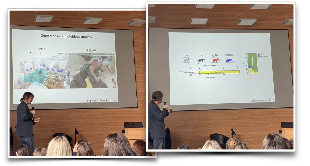 Today we celebrate #DayOfImmunology‼️
🇨🇿in Prague with @CYImmunologists  and @SchwarzerGnoto 👇👇👇

#AnimalResearch #MiceInResearch #PokusyNaZvířatech @EFIS_Immunology #EARA #AnimalModel #immunology #immunotherapy