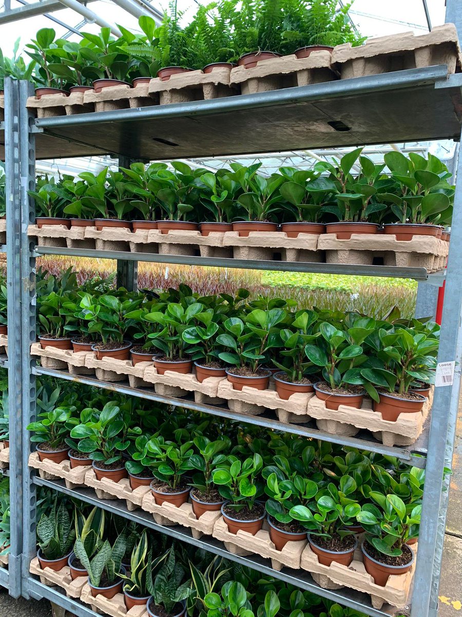 Regent's Place tweet media